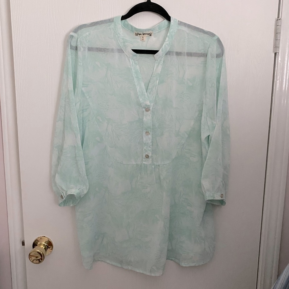 Hope Springs Mint Green Chiffon Blouse Sheer Beach Flowy Pastel Sea Foam Size XL